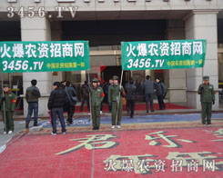 �Gɫ�ǻ��r(n��ng)�Y���̾W(w��ng)��꠵����c