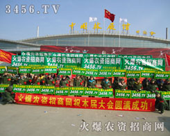 ƴ����������������푵�����