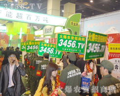 �𱬾W(w��ng)��(chu��ng)���·f��������ʽԽ��Խ�V�����P(gu��n)ע