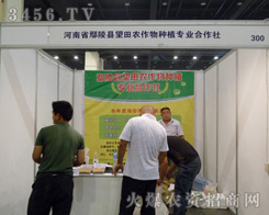 ����ʡ۳��h�����r(n��ng)����Nֲ������