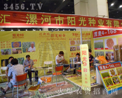 ������(y��ng)��N�I(y��)���޹�˾