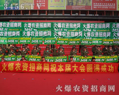 �𱬈F(tu��n)꠰l(f��)�P(y��ng)��Ӣ���B��(qi��ng)�đ�(zh��n)�����L(f��ng)