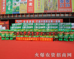 ������������Գɹ�