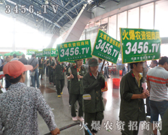 �¸ҵ���ǰ��