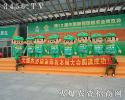 ����Ч���_����