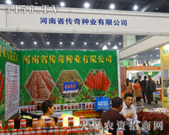 ����N�I(y��)ʢ�b�@�F(xi��n)2013�����＾�N�ӕ�(hu��)