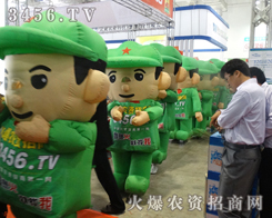 2013ɽ�|ֲ�����ϣ��𱬾W(w��ng)��������������˂��ĺ���