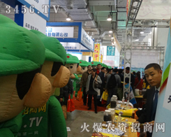 ȫ���Ը���������������