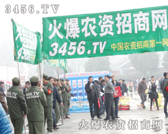 ȫ���Ը����Գֵ���