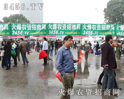 ���r(n��ng)�Y���̾W(w��ng)������������ڕ�����