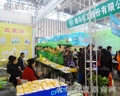 ȫ���Ը���������������