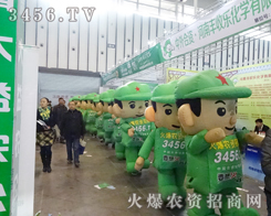 ��29��ֲ����һ���ɐ۵��L(f��ng)����