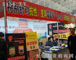 ɽ�|��(r��n)Ұ������ֲ���p����(hu��)�c�͑��挦(du��)�潻��