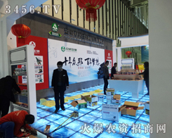 ���ձ�����������2013ֲ����