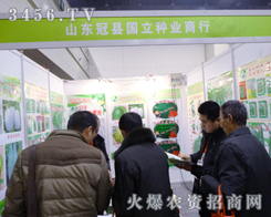 ɽ�|�ڿh�����N�I(y��)ף�R�r(n��ng)�����e�k�ɹ�