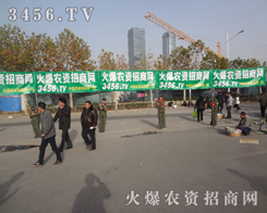 ���r(n��ng)�Y�W(w��ng)�ľG��(zh��n)ʿ�� ��ֲ�����ϲ����Mȡ