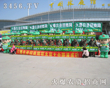 ���r�Y�Wһֱ�������p����