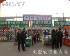 ���r(n��ng)�Y���̵ľGɫ����܊�F(tu��n)�(du��)�������f�r(n��ng)�Y����