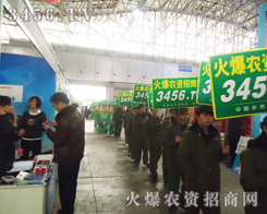 ���r�Y���̾W(w��ng)�ľGɫ܊�F���ڶ���