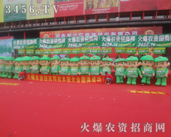 ���r(n��ng)�Y�W(w��ng)����һ֧�ľGɫ�����(du��)��