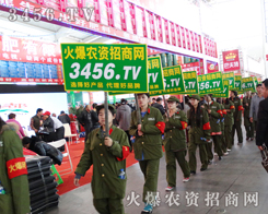 2014��ꖷ��ϕ�����3456.TV�ٴ��V�����̽����Ԓ