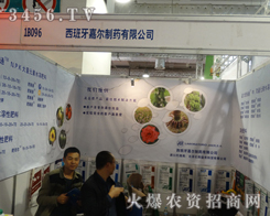 �������Π���ˎ�ԃ�(y��u)�|(zh��)�a(ch��n)Ʒ������������