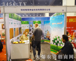 �F�X����N�I(y��)�����＾�N�ӕ�