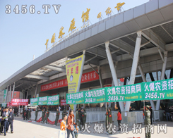 ���r(n��ng)�Y���̾W(w��ng)�����F꠾ͺ���������������С�L��