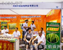 �S����طN�I(y��)���ļ��N�ӕ���չ�F(xi��n)�߶˴���չ�d