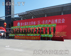 3456.TV������һ�����N��