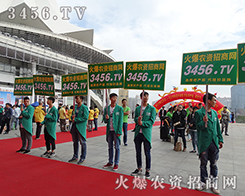 ���ഺ�]����Ѫ���È�(ji��n)���㌑�ഺ