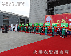 ���¿಻�������L(f��ng)�����԰��P(y��ng)