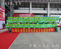 ���Ի��r(n��ng)�Y���̾W(w��ng)�ľ�Ӣ�����¿���������