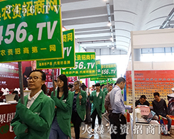 �𱬈F꠲��¿಻����