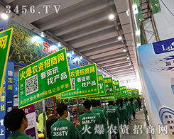 ���߰���������