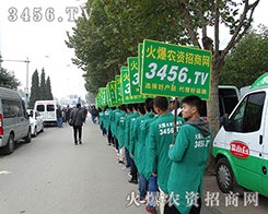 �����SˬӢ�����c��y�ֹ���ɽ�|ֲ����