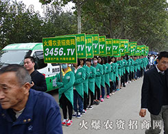 2015��ɽ�|ֲ�������F(tu��n)�Y(ji��)ƴ�������˶��Ǵ��A��