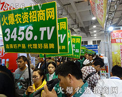 �𱬾W(w��ng)��ϯ2015��ɽ�|ֲ���� �G��(zh��n)ʿ�������ː�