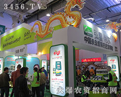 ���Ϻ�����������ʼ�K��(ji��n)��һ��(g��)����