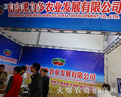 ɽ�|�������r(n��ng)�I(y��)2015ɽ�|ֲ����(hu��)�Ͽ���������