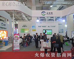 �ƹ���2015ɽ�|ֲ��������Ч���ã�