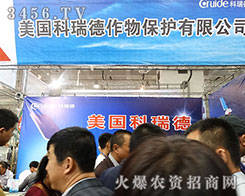 �����������������Ŀ�����c