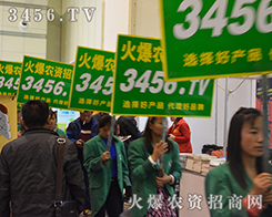 �����������͑�