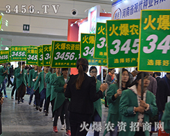 �𱬾W(w��ng)��2015���������r(n��ng)ˎ��(hu��)�������������