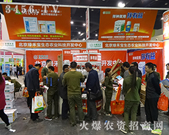 �����G�̌����B(t��i)�r(n��ng)�I(y��)��ҫ�۵�����