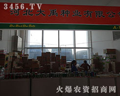 �ӱ������N�I(y��)��2015�����I�N�������ǹ��貣�