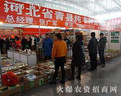 �ӱ�ʡ��h���S�߲���s2015�����I�N����