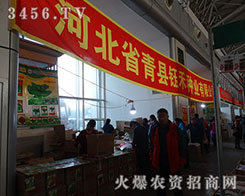 �ӱ�ʡ��h╺̷N�I(y��)��2015�����I�N�����������