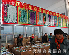 ����п��ǷN�ӵڶ�ʮһ�ù����I�N�����W���ǈ�