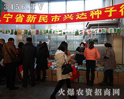 �������d�_�N���о�������2015�����I�N����